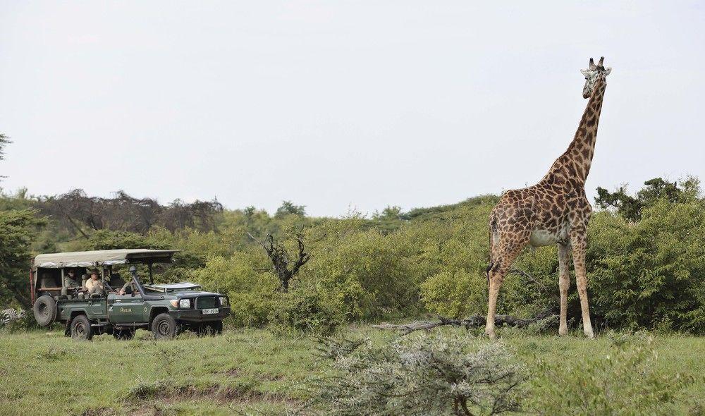 Encounter Mara Camp Hotel Maasai Mara Kültér fotó