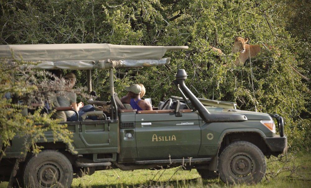 Encounter Mara Camp Hotel Maasai Mara Kültér fotó